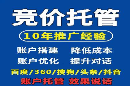 专业SEM托管如何助力电商行业增长？——案例分析